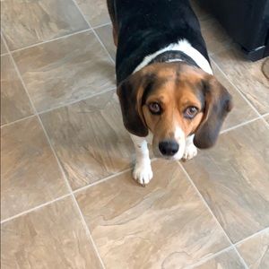 Meet your Posher, Sheila